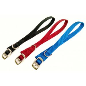 Collier simple avec boucle style ceinture 5/8'' X 14''