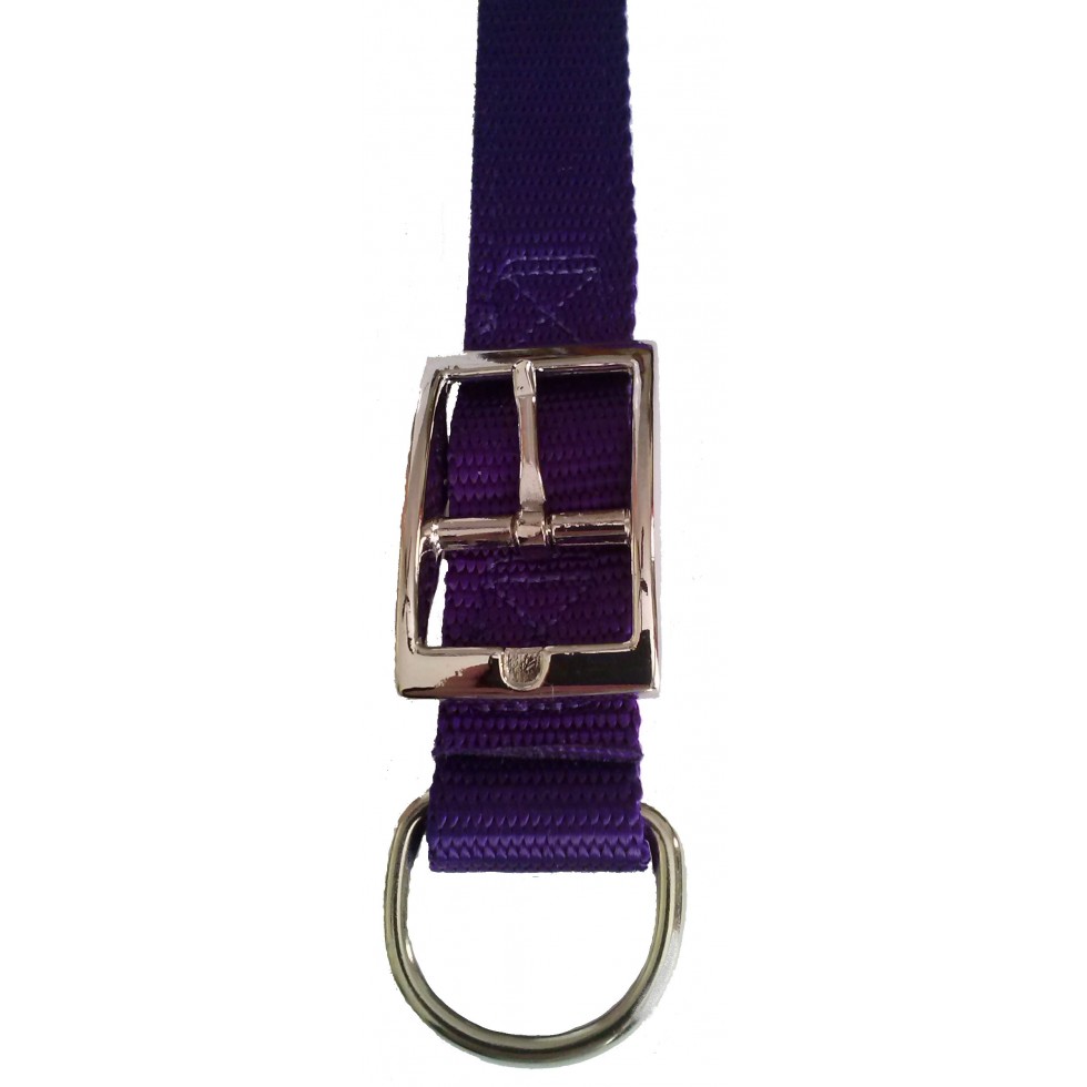 Collier double épaisseur de nylon 1'' X 32'’