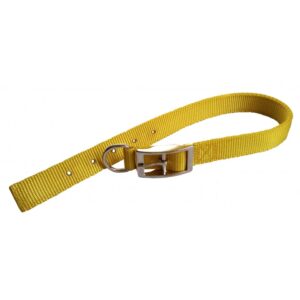 Collier double épaisseur de nylon 1'' X 20'’