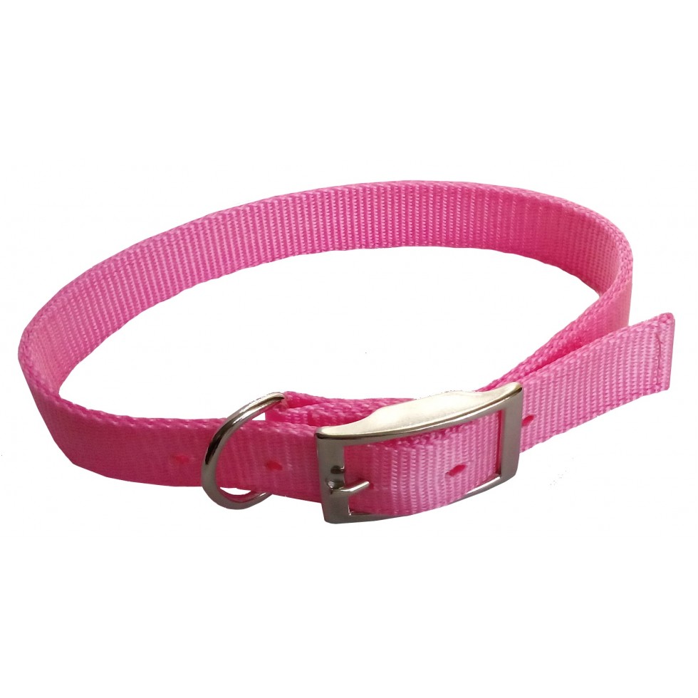 Collier double épaisseur de nylon 1'' X 22'’