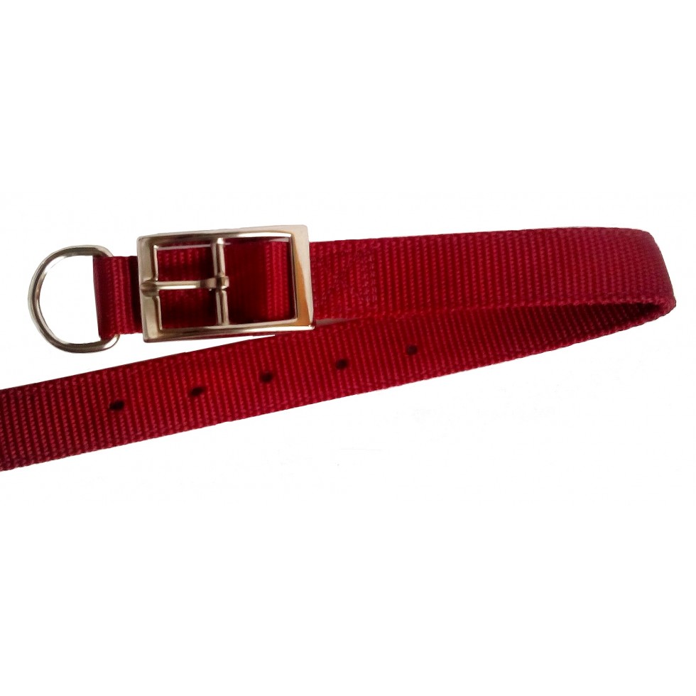 Collier double épaisseur de nylon 1'' X 30'’ – Image 2