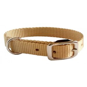 Collier simple avec boucle style ceinture 3/8'' X 14''