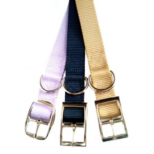 Collier simple avec boucle style ceinture 1'' X 16''