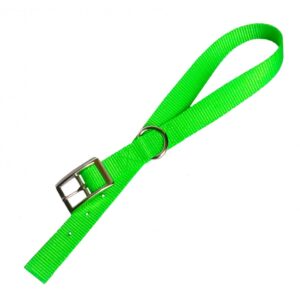 Collier simple avec boucle style ceinture 1'' X 30''