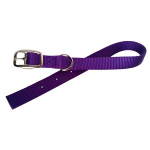 Collier simple avec boucle style ceinture 3/4'' X 12''