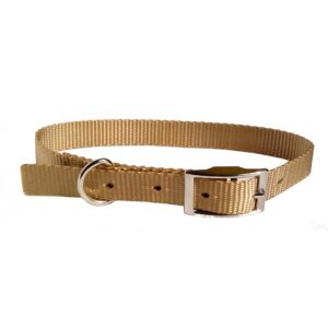 Collier simple avec boucle style ceinture 3/4'' X 20''