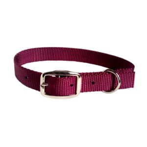 Collier simple avec boucle style ceinture 3/4'' X 16''