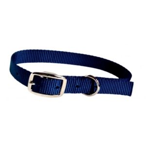 Collier simple avec boucle style ceinture 3/4'' X 18''