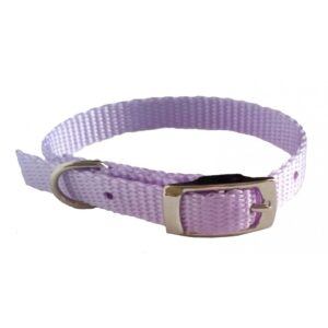 Collier simple avec boucle style ceinture 3/8'' X 10''