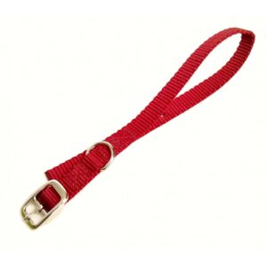 Collier simple avec boucle style ceinture 3/8'' X 12''