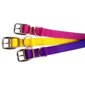 Collier simple avec boucle style ceinture 5/8'' X 16''
