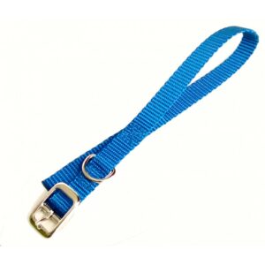 Collier simple avec boucle style ceinture 5/8'' X 12''