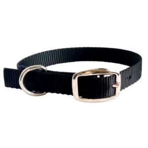 Collier simple avec boucle style ceinture 5/8'' X 10''