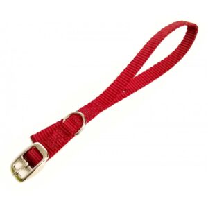 Collier simple avec boucle style ceinture 5/8'' X 18''