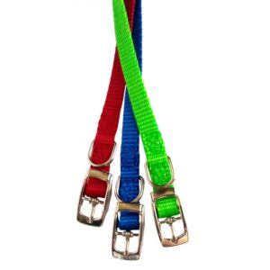 Collier simple avec boucle style ceinture 3/8'' X 8''