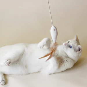 Jouet pour chat poisson doré / Cat Toy Golden Fish