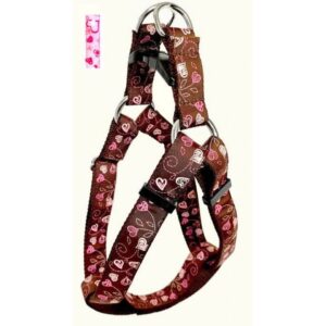 Harnais ''EZ'' 1'' à motifs Coeurs  /  ''EZ'' 1'' Harness with Heart Pattern