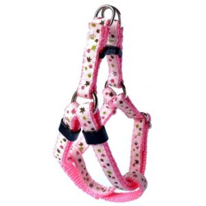 Harnais ''EZ'' 3/8'' à motifs Étoiles multi / ''EZ'' 3/8'' Harness with Multi Star Pattern