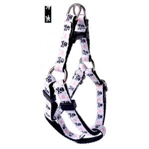 Harnais ''EZ'' 3/8'' à motifs Pirate /  ''EZ'' 3/8'' Pirate Pattern Harness