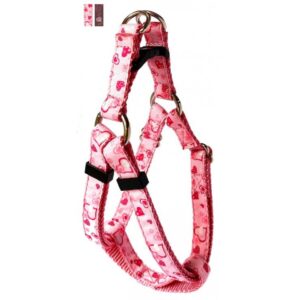 Harnais ''EZ'' 5/8'' à motifs Coeurs / ''EZ'' 5/8'' Harness with Heart Pattern