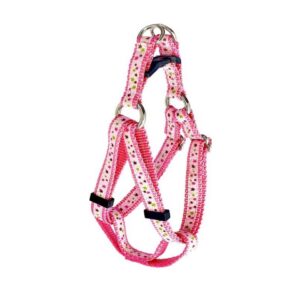 Harnais ''EZ'' 5/8'' à motifs Étoiles /  ''EZ'' 5/8'' Harness with Star Pattern