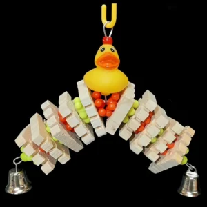Petit perroquet en forme de queue de canard
