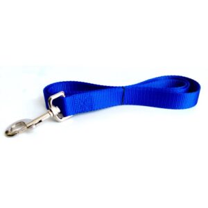 Laisse simple 1'' X 48''  /  Single Leash 1'' X 48''