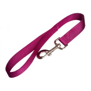 Laisse simple 1'' X 18''  /     Single Leash 1'' X 18''