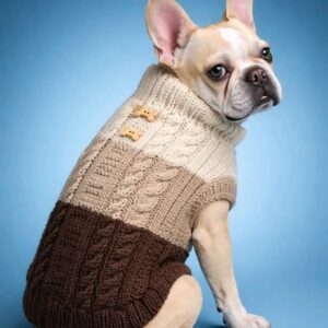 Ensemble Tricot Couleurs Terre           /                Earth‑Tone Knit Set