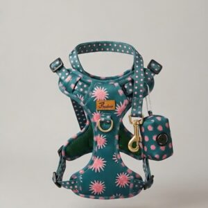 Ensemble de harnais et pochette ajustables  /  Adjustable Harness and Pouch Set