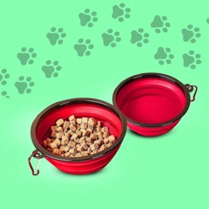 Gamelle pliable 2-en-1   /   2-in-1 Collapsible Feeding Bowl