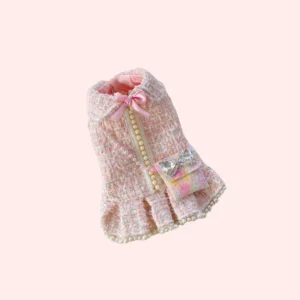Robe de compagnie de style princesse faite à la main
