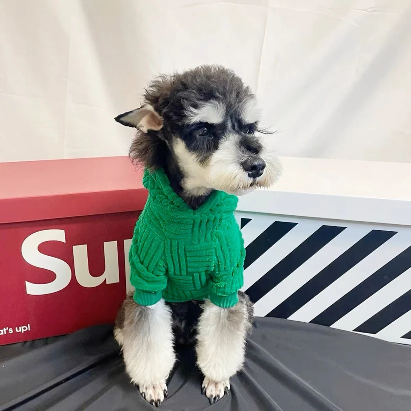 Chandail à capuchon 3D pour animaux de compagnie