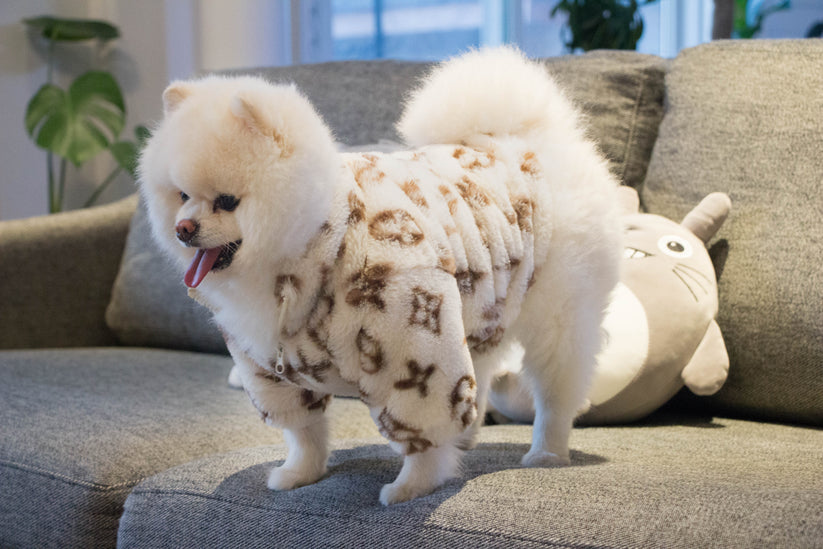 Veste peluche – Collection Animal Fashion / Plush Jacket – Animal Fashion Collection – Image 4