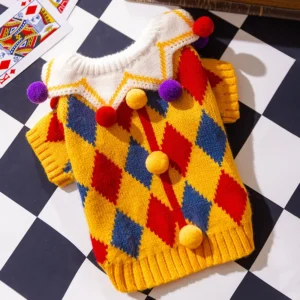 Petit chandail mignon pour animaux