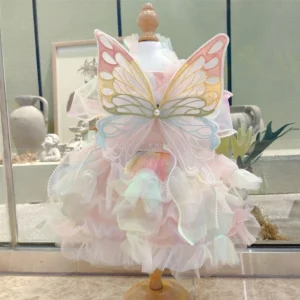 Robe d’animaux de compagnie de chat en forme de fée arc-en-ciel fantaisie Ailes de papillon arc-en-ciel
