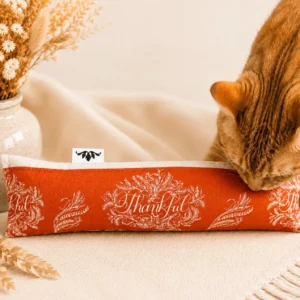 Jouet pour chat à l’herbe à chat – Coussin lapin résistant de 30 cm – Cadeau d’automne fait main